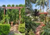 113 Croydon Road, Croydon, NSW 2132-Image