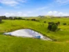113 Gooroomon Ponds Road, Wallaroo, NSW 2618-Image