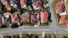 113 Jackson Avenue, Winthrop, WA 6150-Image
