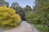 113 Lavender Farm Road, Woodend, Vic 3442-Image