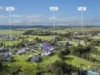 113 New England Highway, Lochinvar, NSW 2321-Image
