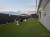 113 Panorama Drive, Springfield, Qld 4300-Image