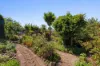 113 Roulston Way, Wallan, Vic 3756-Image