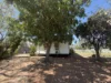 113 Rowan Street, Derby, WA 6728-Image