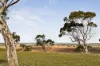 113 Stanton Road, Hartley, SA 5255-Image