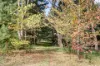 113 Udys Road, Piccadilly, SA 5151-Image