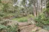 113 Udys Road, Piccadilly, SA 5151-Image