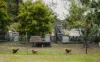 113 Wallagoot Lake Road, Wallagoot, NSW 2550-Image
