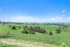 1130 Mardan Road, Mardan, Vic 3953-Image