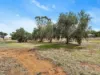 1131 Horrocks Highway, Templers, SA 5371-Image