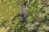 1136 Kangaroo Valley Road, Bellawongarah, NSW 2535-Image