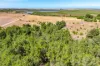 1136 Randell Road, Hindmarsh Island, SA 5214-Image