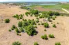 1136 Randell Road, Hindmarsh Island, SA 5214-Image