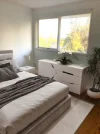 114 Broome Street, Maroubra, NSW 2035-Image