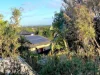 114 Broome Street, Maroubra, NSW 2035-Image