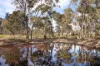 114 Dunolly-Bridgewater Road, Dunolly, Vic 3472-Image