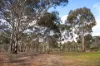 114 Dunolly-Bridgewater Road, Dunolly, Vic 3472-Image