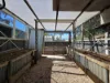 114 Musgrave Terrace, Wallaroo Mines, SA 5554-Image