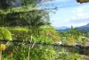 114 Nolan Street, Whitfield, Qld 4870-Image