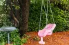 114  Petterd Street, Page, ACT 2614-Image