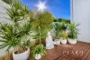 114 Wilding Street, Doubleview, WA 6018-Image