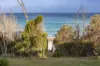 1142 Gardens Road, The Gardens, Tas 7216-Image
