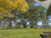 1145 Winn Road, Mount Samson, Qld 4520-Image