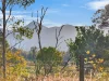 1145 Winn Road, Mount Samson, Qld 4520-Image