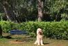 114a Broadwater Esplanade, Bilambil Heights, NSW 2486-Image