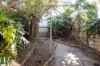 115-117 Evans Street, Rozelle, NSW 2039-Image