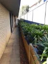 115 Aspinall Street, Golden Square, Vic 3555-Image