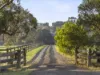 115 Bells Road, Bells Beach, Vic 3228