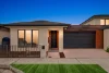 115 Billy Buttons Drive, Narre Warren, Vic 3805