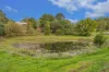 115 Burgum Road, North Maleny, Qld 4552-Image