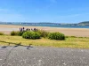 115 Foreshore Road, Kelso, Tas 7270-Image