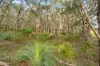 115 Kirribilli Road, New Gisborne, Vic 3438-Image
