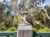 115 Lakeside Crescent, Ningi, Qld 4511-Image