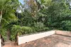 115 Manning Road, Woollahra, NSW 2025-Image