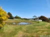 115 McGraths Track, Hernes Oak, Vic 3825-Image
