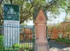 115 NEWTON RD, Strathfield, NSW 2135-Image