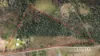 115 Old Bowen Coach Road, Balnagowan, Qld 4740-Image
