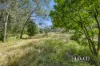 115 Old Bowen Coach Road, Balnagowan, Qld 4740-Image