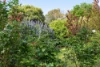 115 Shoreham Road, Red Hill, Vic 3937-Image