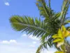 115 Sunderland Drive, Banksia Beach, Qld 4507-Image
