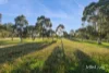 115 Tom Jones Road, Ross Creek, Vic 3351-Image