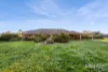 115 Tom Jones Road, Ross Creek, Vic 3351-Image