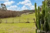 1151 Bara Road, Bara, NSW 2850-Image