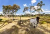 115A Mcdonalds Road, Clunes VIC 3370-Image