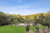 116 Andersons Road, Yandina, Qld 4561-Image