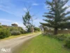 116 Apex Point Road, White Beach, Tas 7184-Image